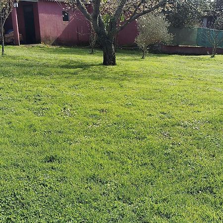 Alojamiento Entero Con Piscina Y Jardin. 오렌세 외부 사진
